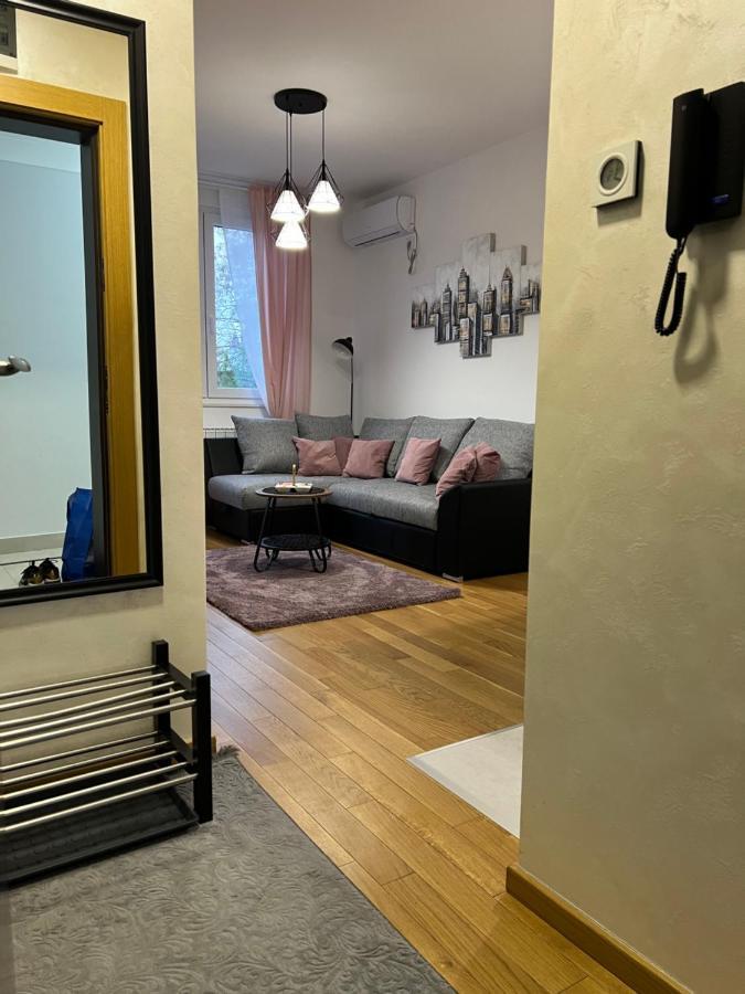 Apartment Luxe Nine Novi Sad Bagian luar foto
