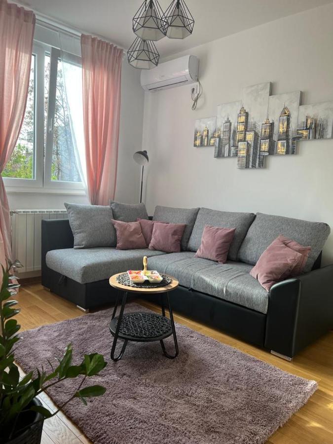 Apartment Luxe Nine Novi Sad Bagian luar foto